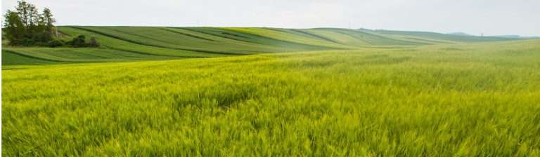 a very green farm-like field over a landscape with hills